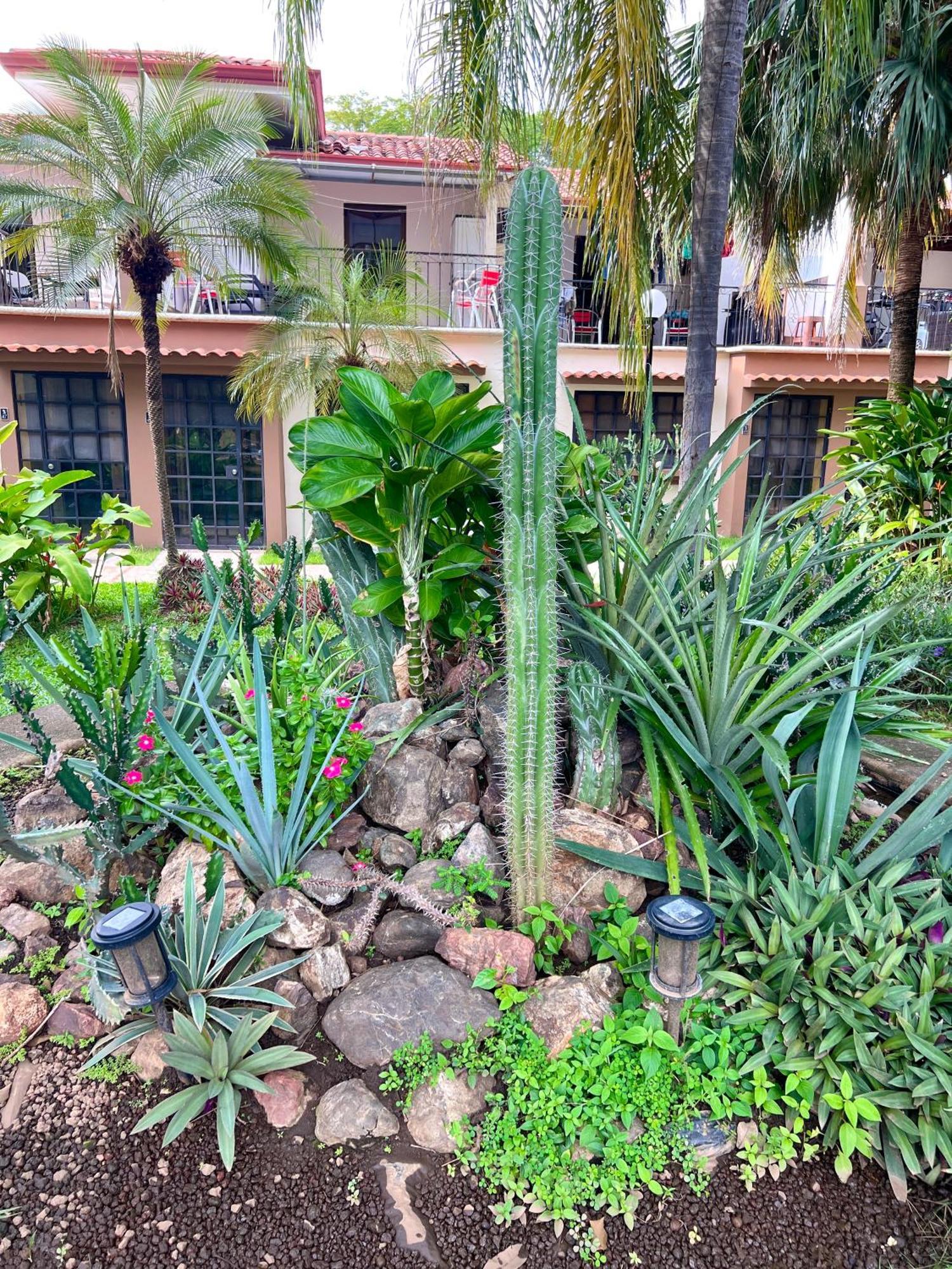 Сasa de vacaciones The House Ground Floor Coco